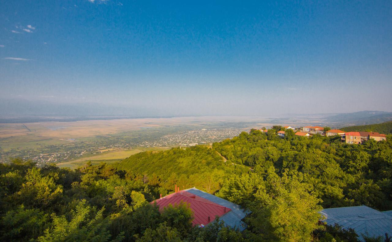 Boutique Hotel Bellevue Siğnaği Dış mekan fotoğraf